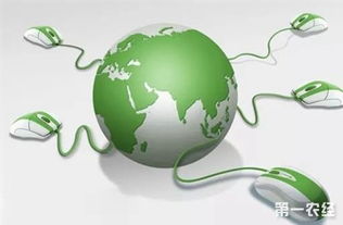 关注这十大农业战略，让农民朋友的钱包鼓起来